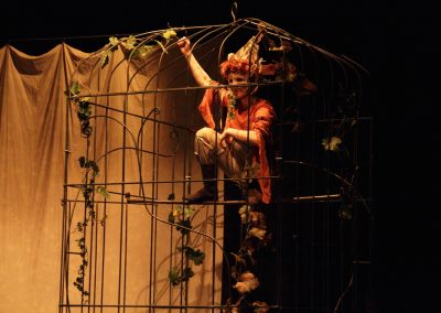 Photo du spectacle songe d'une nuit d'été représentant un comédien dans une cage d'oiseau - pièce de théatre mise en scène par la compagnie Mascarille